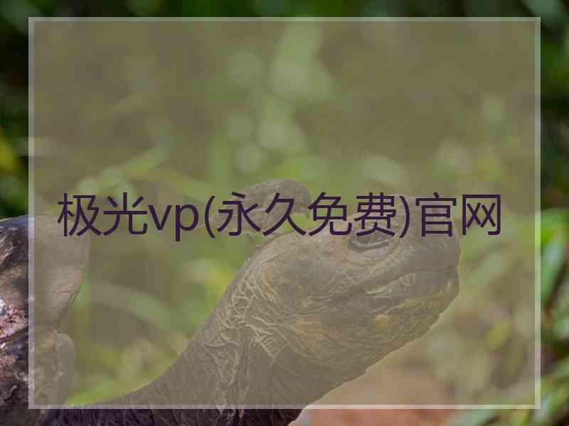 极光vp(永久免费)官网