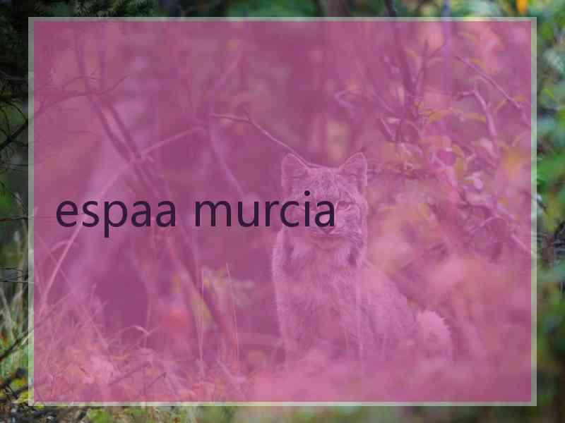 espaa murcia