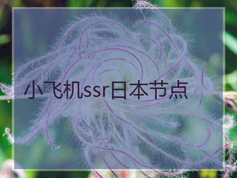 小飞机ssr日本节点