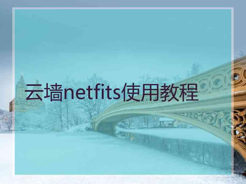 云墙netfits使用教程