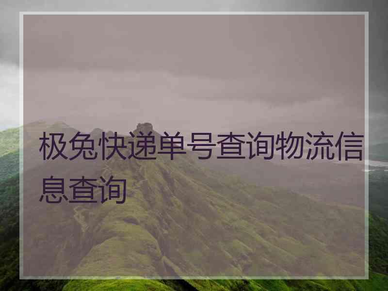 极兔快递单号查询物流信息查询