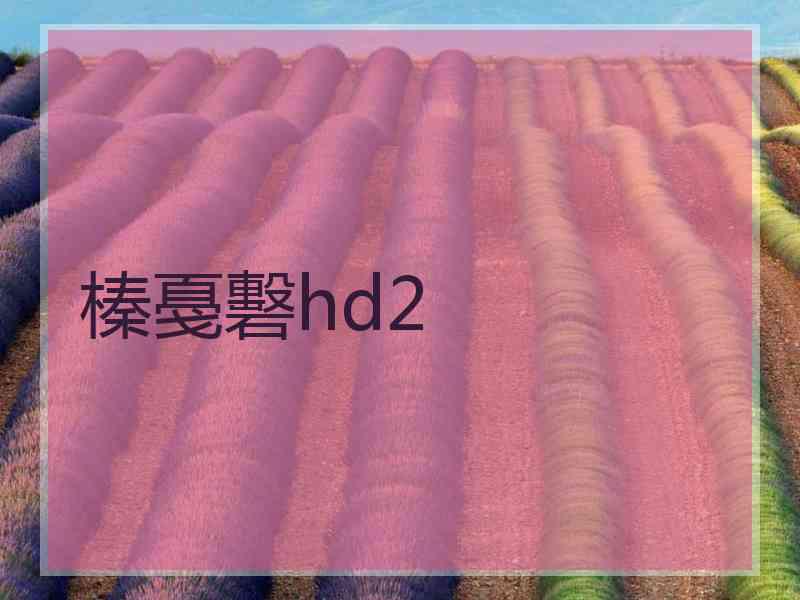 榛戞礊hd2