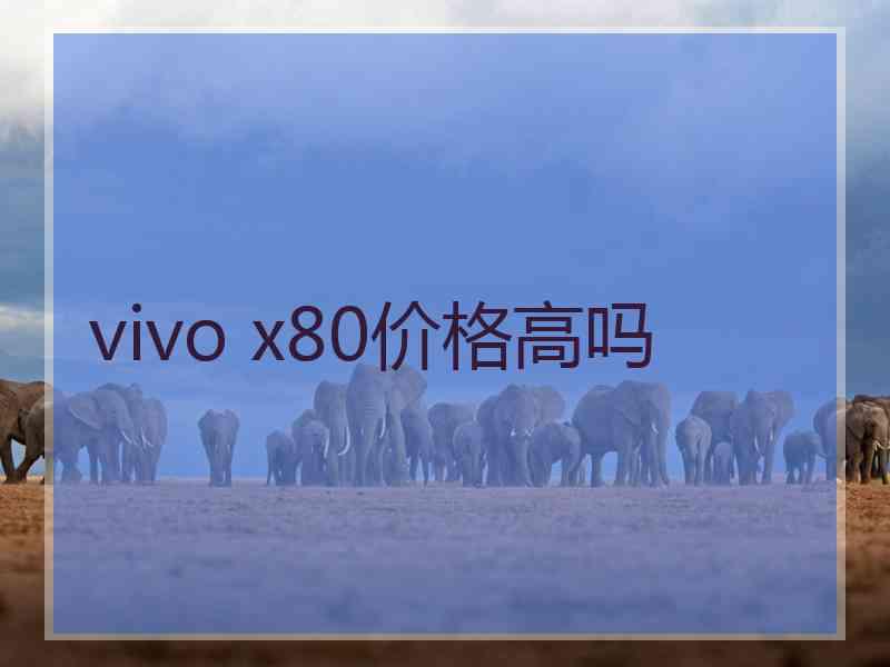 vivo x80价格高吗