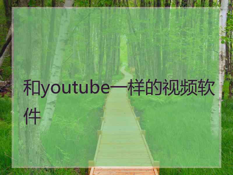 和youtube一样的视频软件