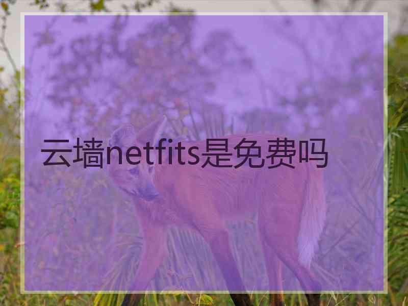 云墙netfits是免费吗