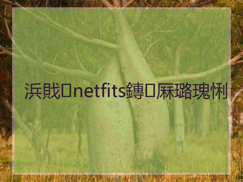 浜戝netfits鏄厤璐瑰悧