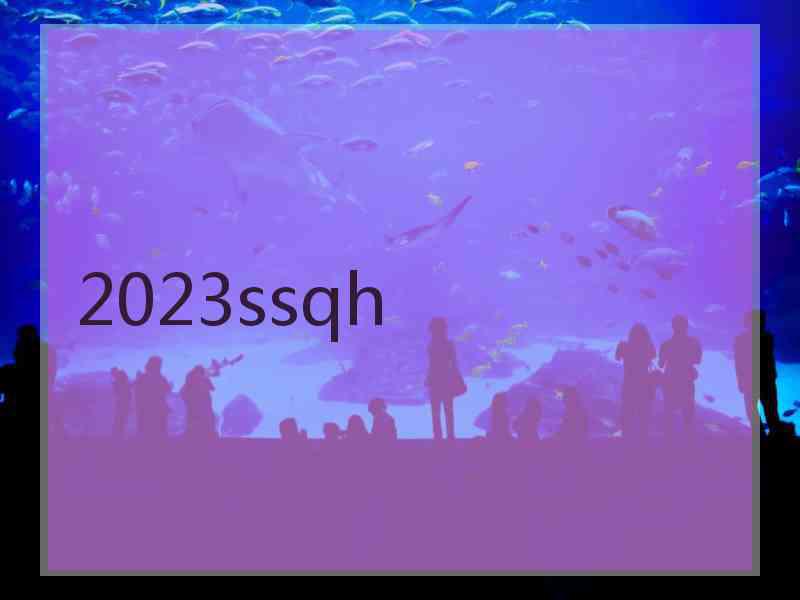 2023ssqh