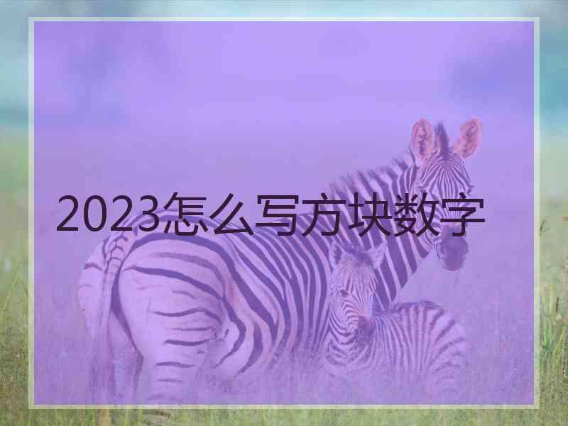 2023怎么写方块数字