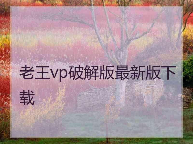 老王vp破解版最新版下载