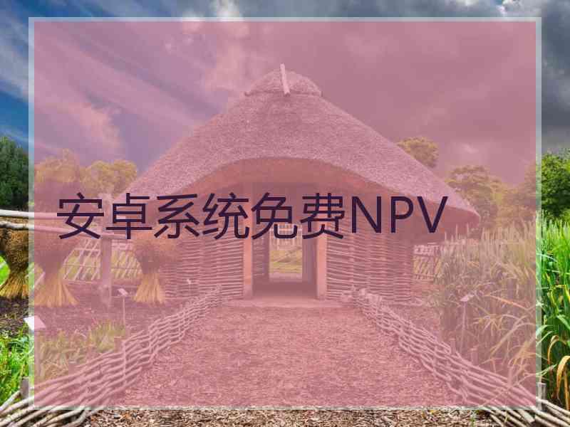 安卓系统免费NPV