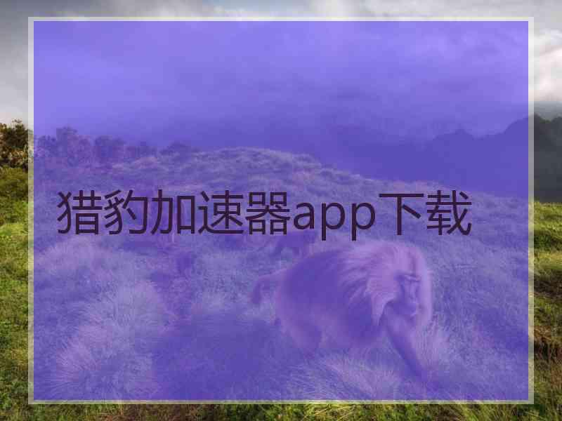 猎豹加速器app下载