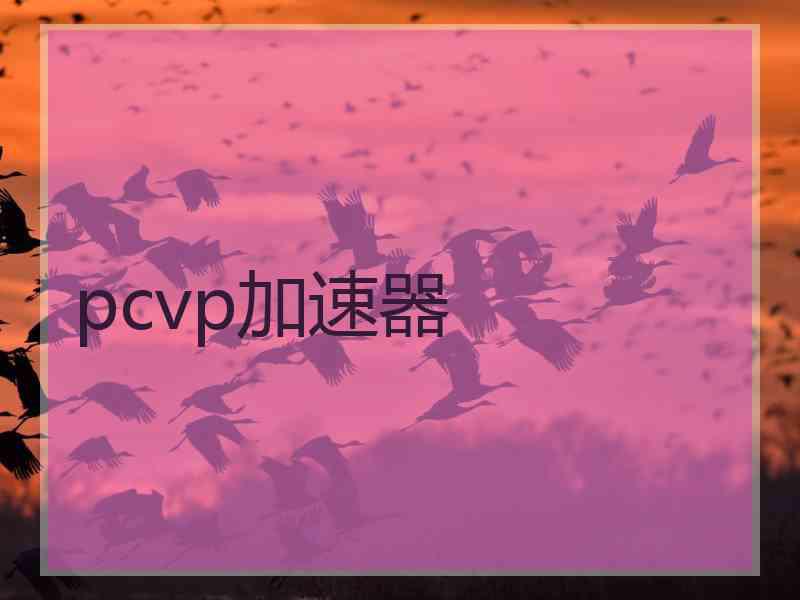 pcvp加速器