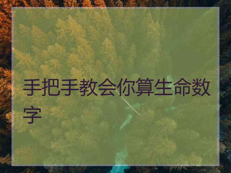 手把手教会你算生命数字