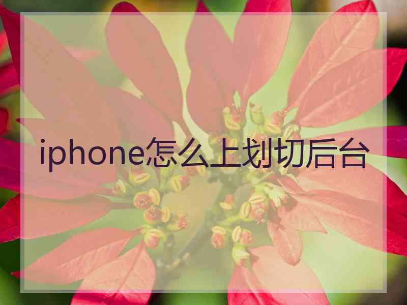 iphone怎么上划切后台