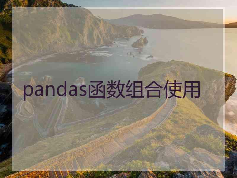 pandas函数组合使用