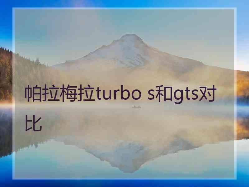 帕拉梅拉turbo s和gts对比