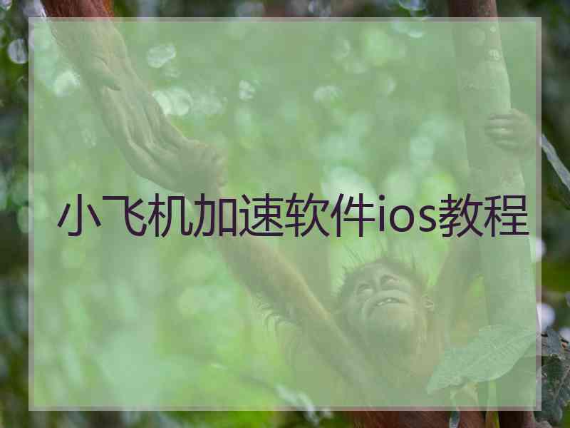 小飞机加速软件ios教程