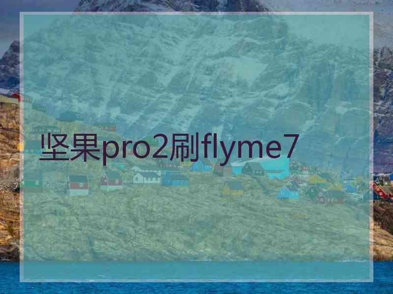 坚果pro2刷flyme7