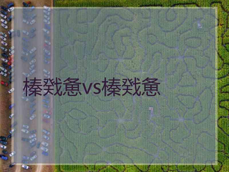 榛戣惫vs榛戣惫