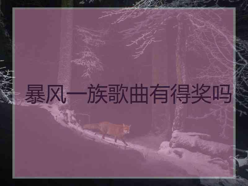 暴风一族歌曲有得奖吗