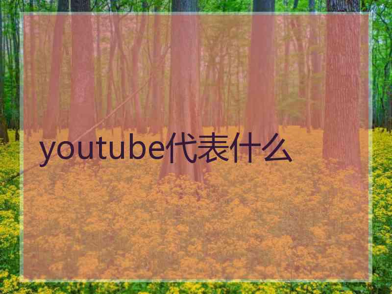 youtube代表什么