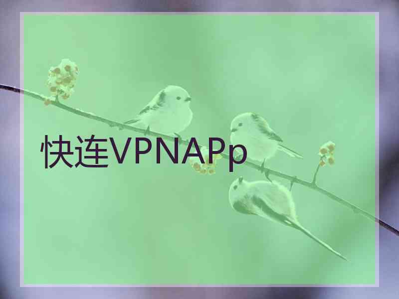 快连VPNAPp