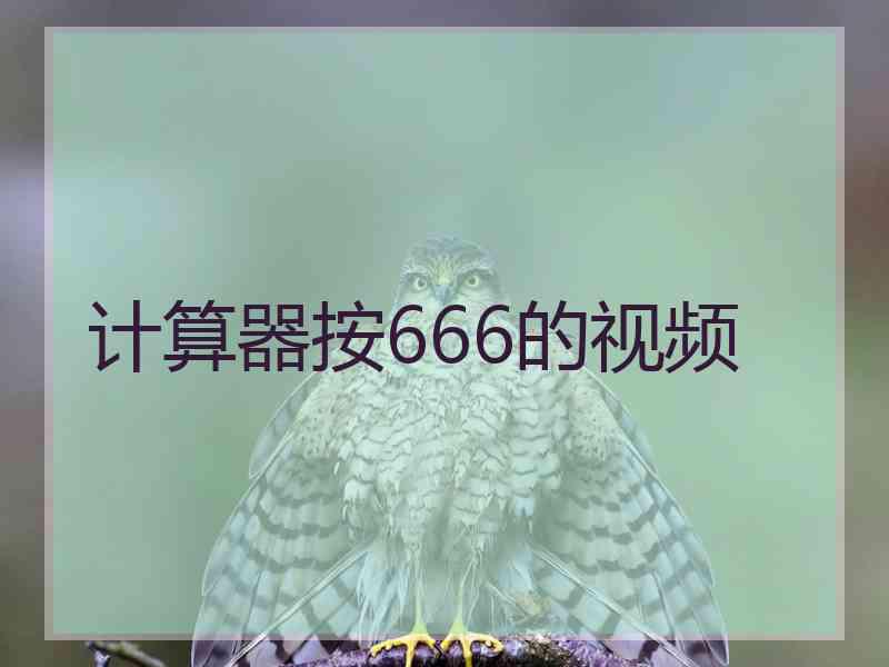 计算器按666的视频