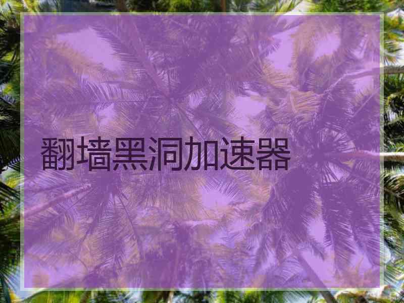 翻墙黑洞加速器