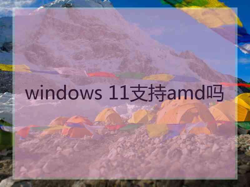 windows 11支持amd吗