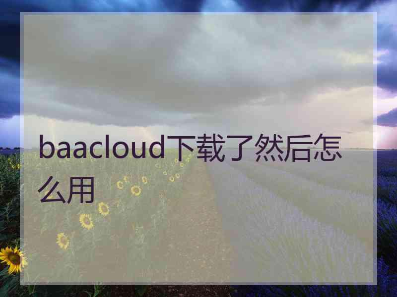 baacloud下载了然后怎么用