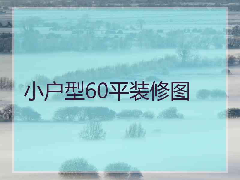 小户型60平装修图