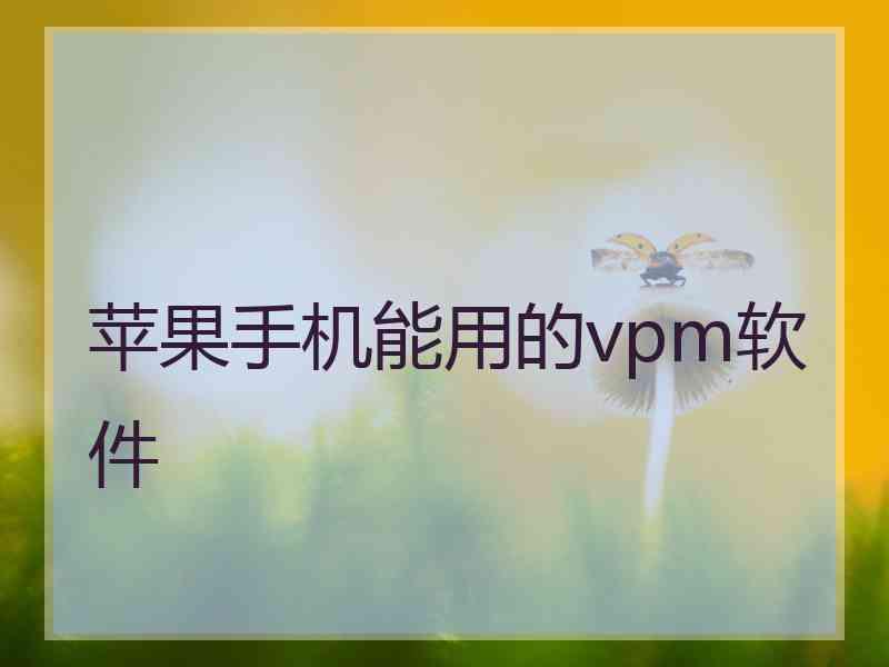 苹果手机能用的vpm软件