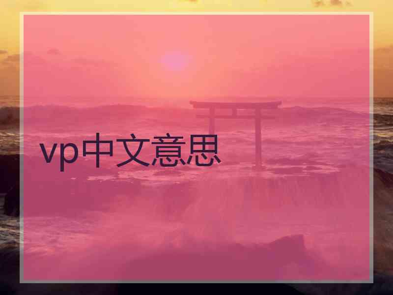 vp中文意思