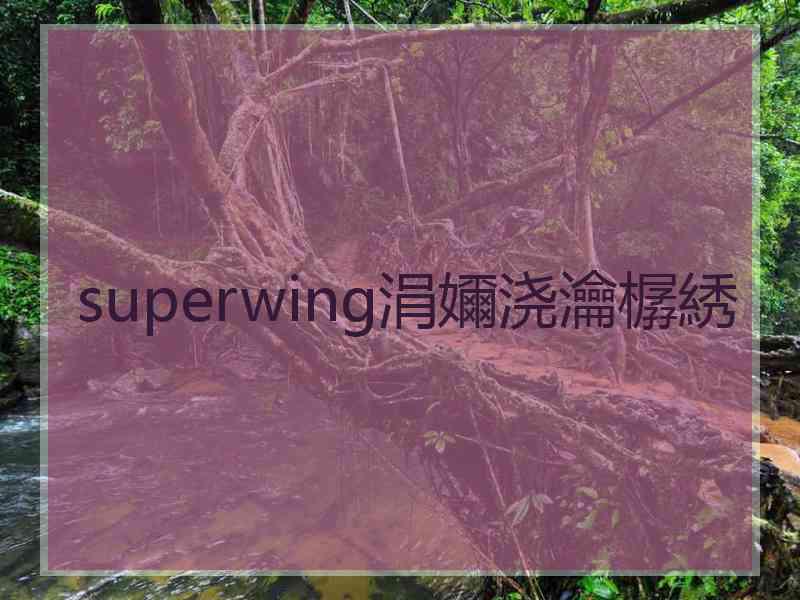 superwing涓嬭浇瀹樼綉