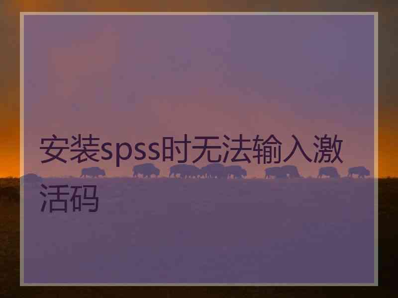 安装spss时无法输入激活码