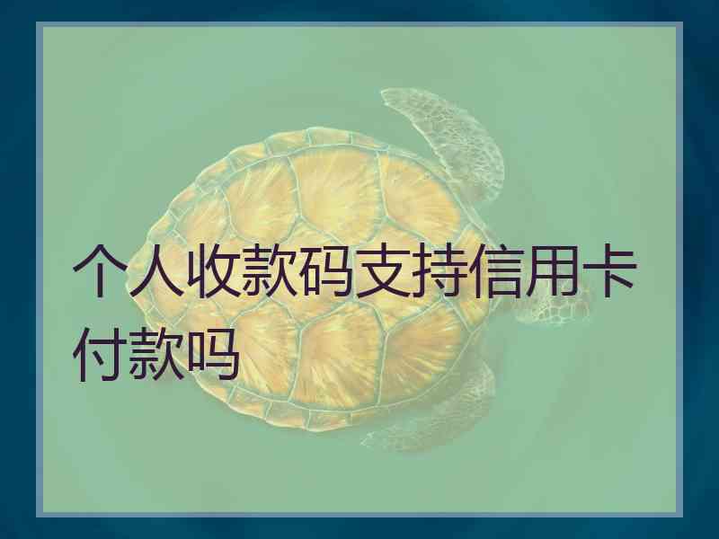 个人收款码支持信用卡付款吗