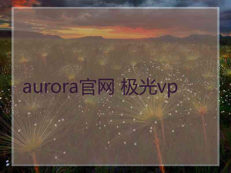 aurora官网 极光vp