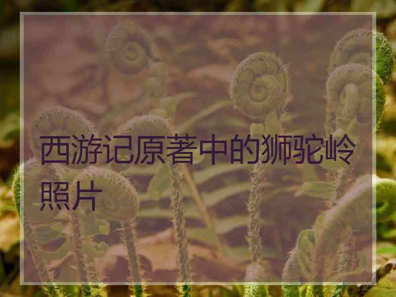 西游记原著中的狮驼岭照片