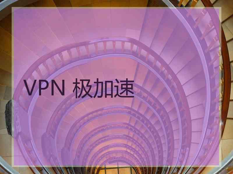 VPN 极加速