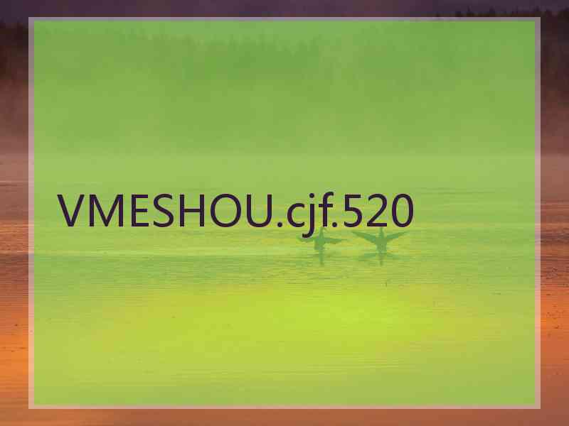 VMESHOU.cjf.520