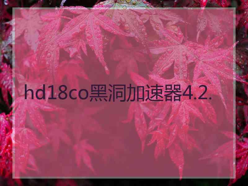 hd18co黑洞加速器4.2.