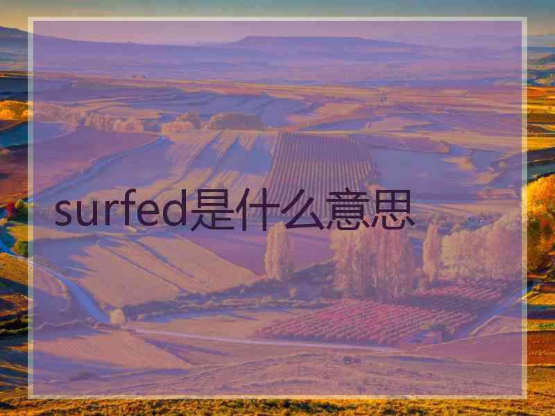 surfed是什么意思