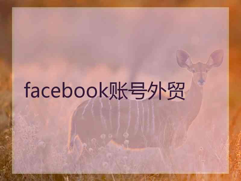 facebook账号外贸