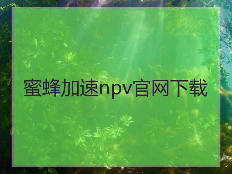 蜜蜂加速npv官网下载