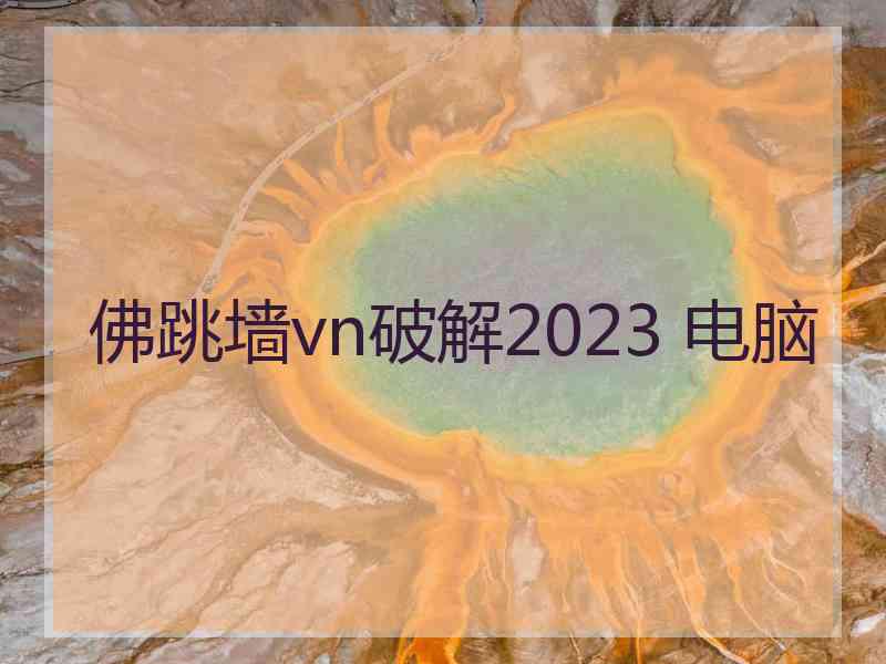 佛跳墙vn破解2023 电脑