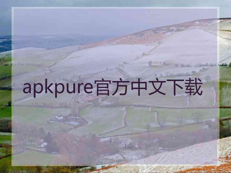 apkpure官方中文下载