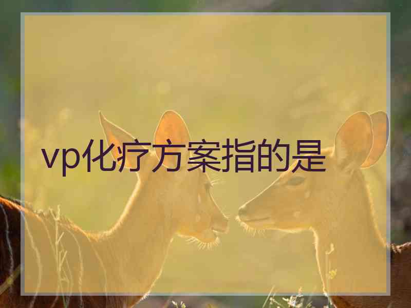 vp化疗方案指的是