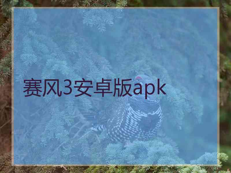 赛风3安卓版apk