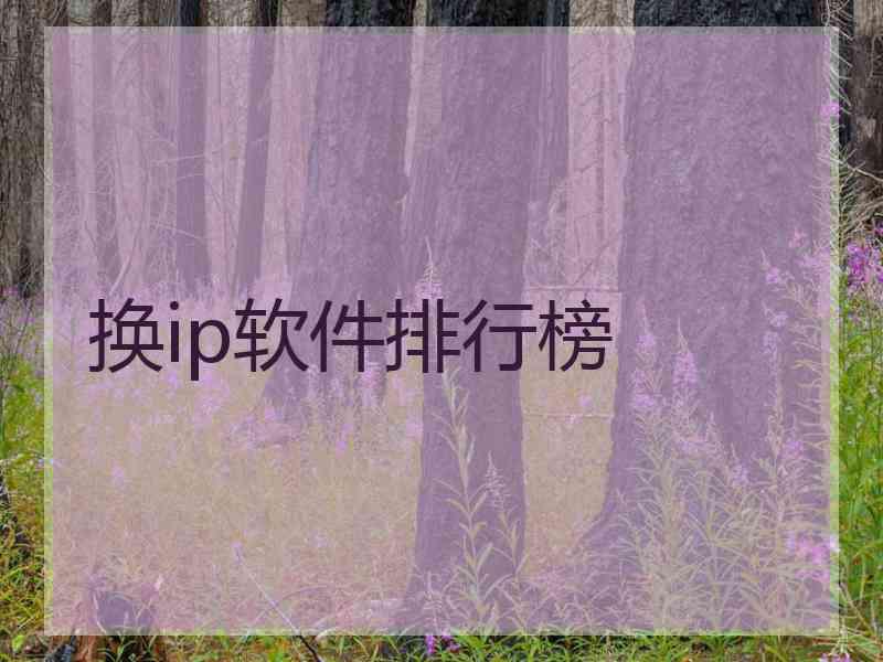 换ip软件排行榜