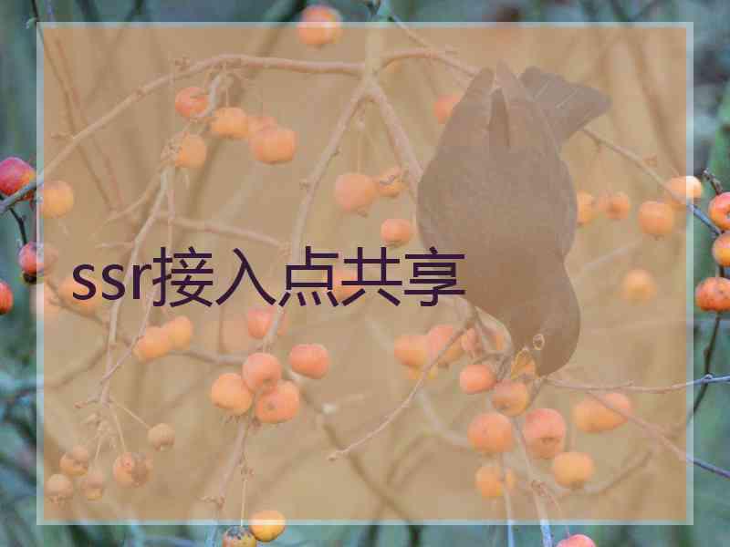 ssr接入点共享